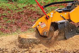Best Lawn Renovation and Restoration  in Frederick, OK