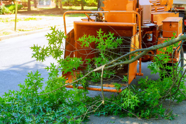 Best Artificial Turf Installation  in Frederick, OK