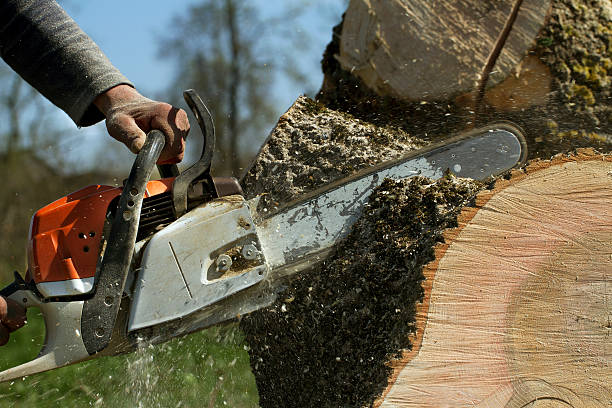 Lawn Maintenance Plans in Frederick, OK